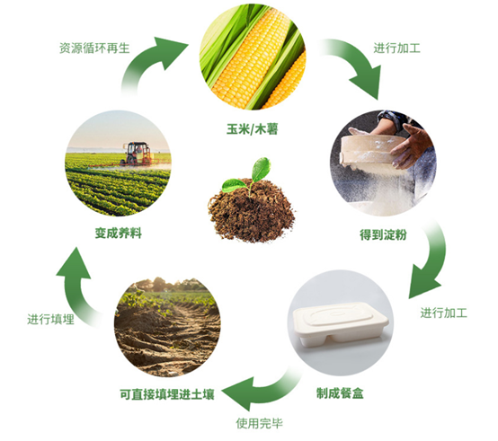 餐饮行业餐盒批发注意事项总结将环保记心中