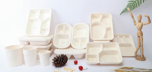 餐盒批发厂家介绍：一次性餐盒有哪些类型