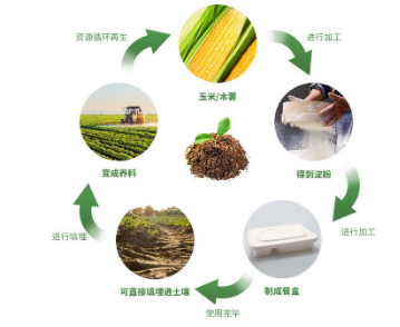 一次性打包饭盒的合理选择及应用