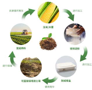 浅谈降解餐盒批发的发展趋势