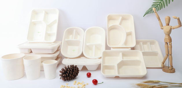 餐盒批发应该怎么挑选